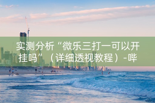 实测分析“微乐三打一可以开挂吗”（详细透视教程）-哔哩哔哩