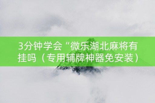 3分钟学会“微乐湖北麻将有挂吗（专用辅牌神器免安装）