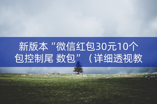 新版本“微信红包30元10个包控制尾 数包”（详细透视教程）-哔哩哔哩