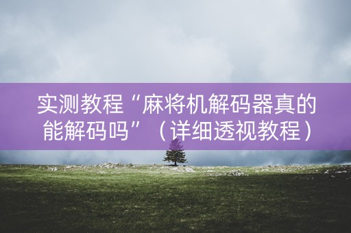 实测教程“麻将机解码器真的能解码吗”（详细透视教程）-哔哩哔哩
