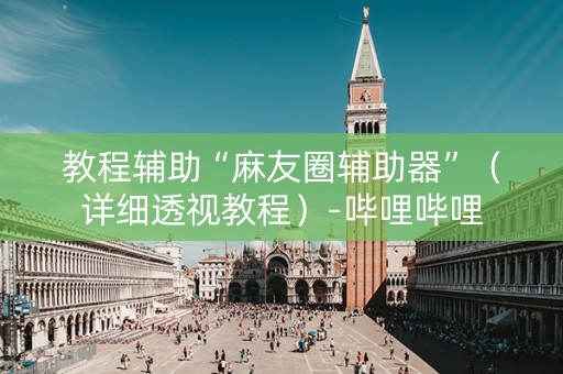 教程辅助“麻友圈辅助器”（详细透视教程）-哔哩哔哩