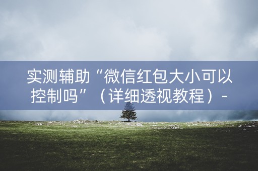 实测辅助“微信红包大小可以控制吗”（详细透视教程）-哔哩哔哩