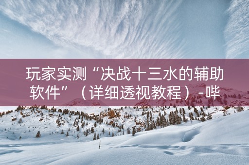 玩家实测“决战十三水的辅助软件”（详细透视教程）-哔哩哔哩