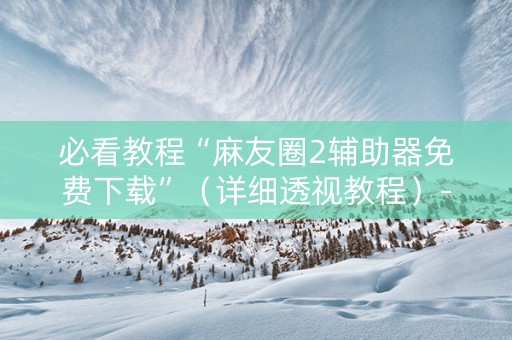必看教程“麻友圈2辅助器免费下载”（详细透视教程）-哔哩哔哩