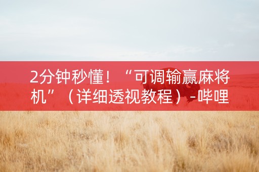 2分钟秒懂！“可调输赢麻将机”（详细透视教程）-哔哩哔哩
