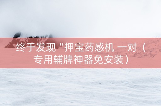 终于发现“押宝药感机 一对（专用辅牌神器免安装）