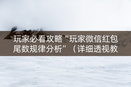 玩家必看攻略“玩家微信红包尾数规律分析”（详细透视教程）-哔哩哔哩