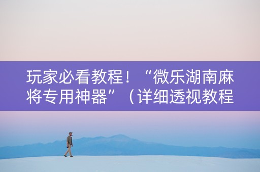 玩家必看教程！“微乐湖南麻将专用神器”（详细透视教程）-哔哩哔哩