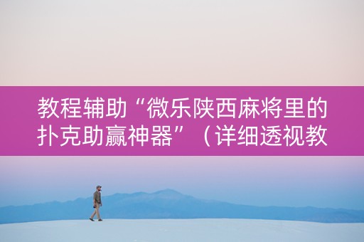 教程辅助“微乐陕西麻将里的扑克助赢神器”（详细透视教程）-哔哩哔哩
