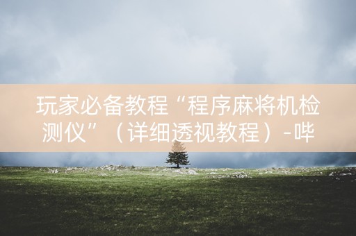 玩家必备教程“程序麻将机检测仪”（详细透视教程）-哔哩哔哩