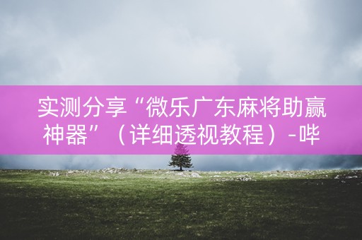 实测分享“微乐广东麻将助赢神器”（详细透视教程）-哔哩哔哩