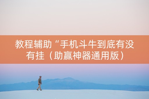 教程辅助“手机斗牛到底有没有挂（助赢神器通用版）
