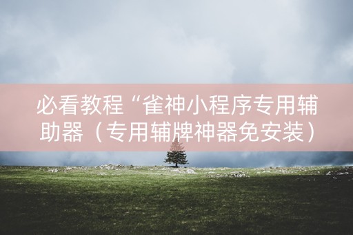 必看教程“雀神小程序专用辅助器（专用辅牌神器免安装）