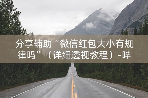 分享辅助“微信红包大小有规律吗”（详细透视教程）-哔哩哔哩