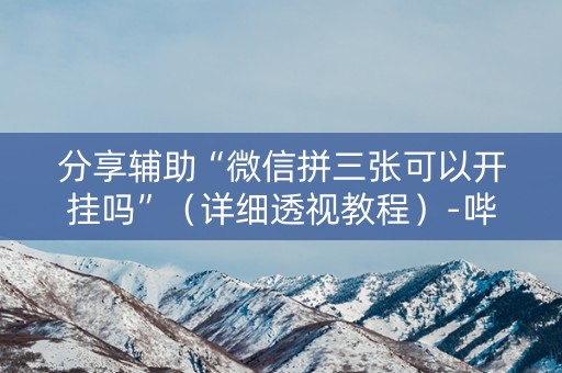 分享辅助“微信拼三张可以开挂吗”（详细透视教程）-哔哩哔哩