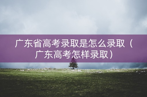 广东省高考录取是怎么录取（广东高考怎样录取）