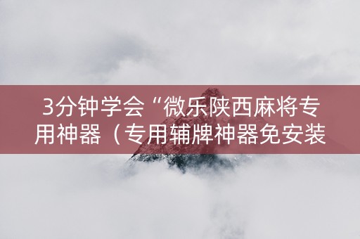 3分钟学会“微乐陕西麻将专用神器（专用辅牌神器免安装）