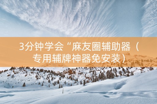 3分钟学会“麻友圈辅助器（专用辅牌神器免安装）