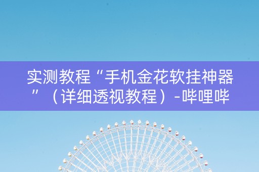 实测教程“手机金花软挂神器”（详细透视教程）-哔哩哔哩