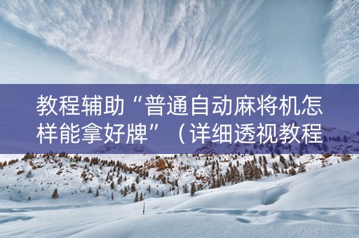 教程辅助“普通自动麻将机怎样能拿好牌”（详细透视教程）-哔哩哔哩