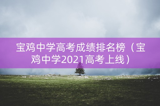 宝鸡中学高考成绩排名榜（宝鸡中学2021高考上线）