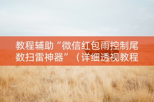 教程辅助“微信红包雨控制尾数扫雷神器”（详细透视教程）-哔哩哔哩