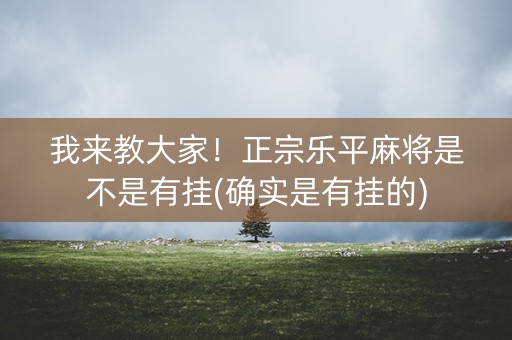 我来教大家！正宗乐平麻将是不是有挂(确实是有挂的)