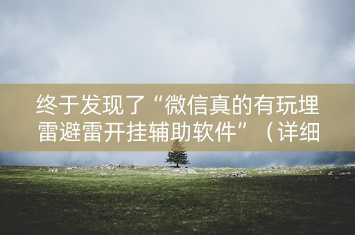 终于发现了“微信真的有玩埋雷避雷开挂辅助软件”（详细透视教程）-哔哩哔哩