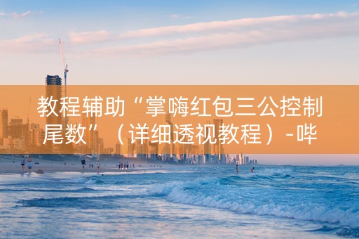 教程辅助“掌嗨红包三公控制尾数”（详细透视教程）-哔哩哔哩