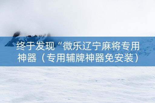 终于发现“微乐辽宁麻将专用神器（专用辅牌神器免安装）