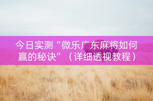 今日实测“微乐广东麻将如何赢的秘诀”（详细透视教程）-哔哩哔哩