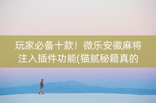 玩家必备十款！微乐安徽麻将注入插件功能(猫腻秘籍真的有挂)