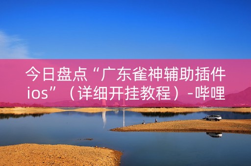 今日盘点“广东雀神辅助插件ios”（详细开挂教程）-哔哩哔哩