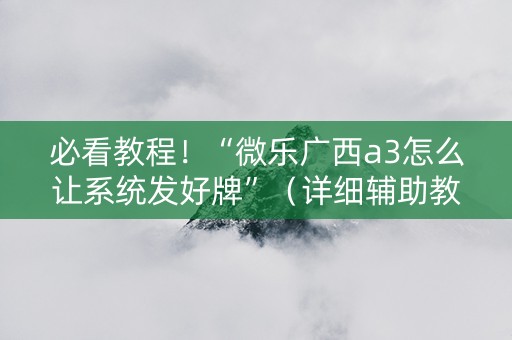 必看教程！“微乐广西a3怎么让系统发好牌”（详细辅助教程）-哔哩哔哩