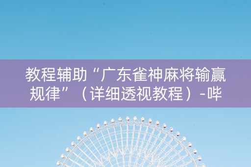 教程辅助“广东雀神麻将输赢规律”（详细透视教程）-哔哩哔哩