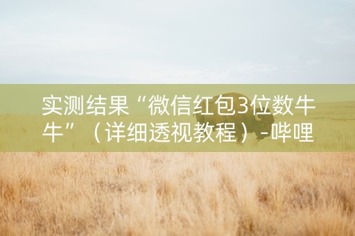 实测结果“微信红包3位数牛牛”（详细透视教程）-哔哩哔哩
