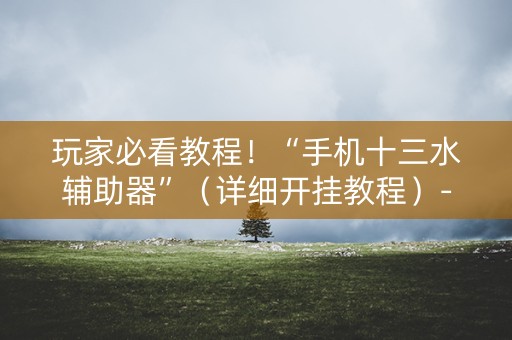 玩家必看教程！“手机十三水辅助器”（详细开挂教程）-哔哩哔哩