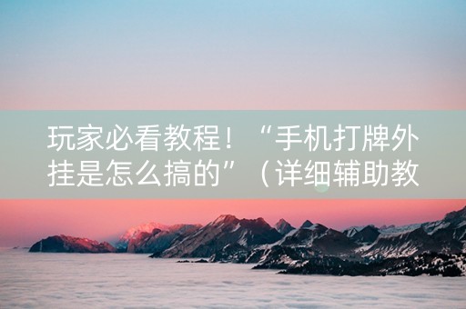 玩家必看教程！“手机打牌外挂是怎么搞的”（详细辅助教程）-哔哩哔哩