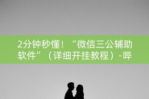 2分钟秒懂！“微信三公辅助软件”（详细开挂教程）-哔哩哔哩