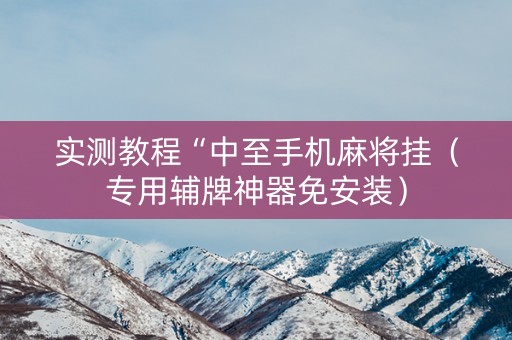 实测教程“中至手机麻将挂（专用辅牌神器免安装）