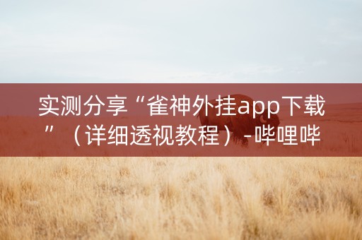 实测分享“雀神外挂app下载”（详细透视教程）-哔哩哔哩