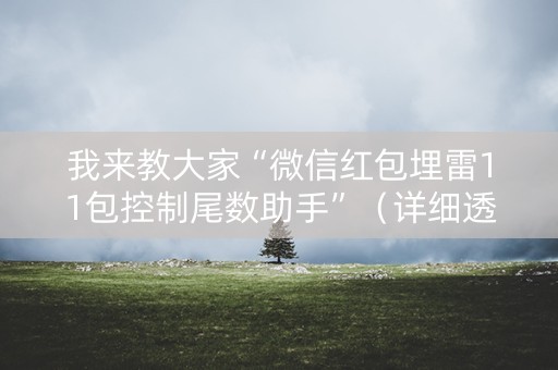 我来教大家“微信红包埋雷11包控制尾数助手”（详细透视教程）-哔哩哔哩