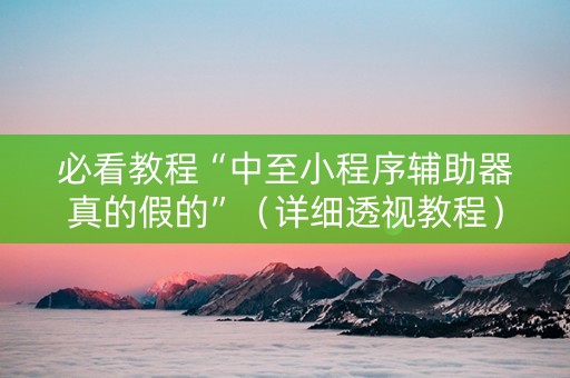 必看教程“中至小程序辅助器真的假的”（详细透视教程）-哔哩哔哩