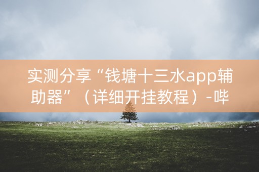 实测分享“钱塘十三水app辅助器”（详细开挂教程）-哔哩哔哩