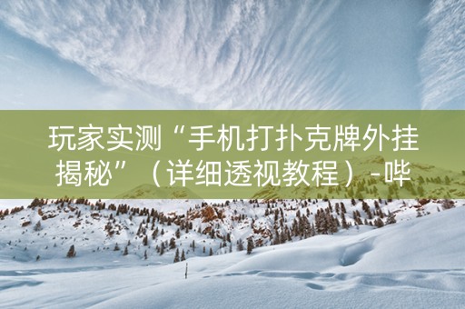 玩家实测“手机打扑克牌外挂揭秘”（详细透视教程）-哔哩哔哩