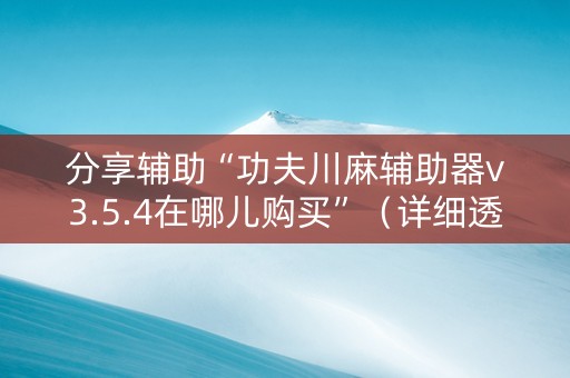 分享辅助“功夫川麻辅助器v3.5.4在哪儿购买”（详细透视教程）-哔哩哔哩