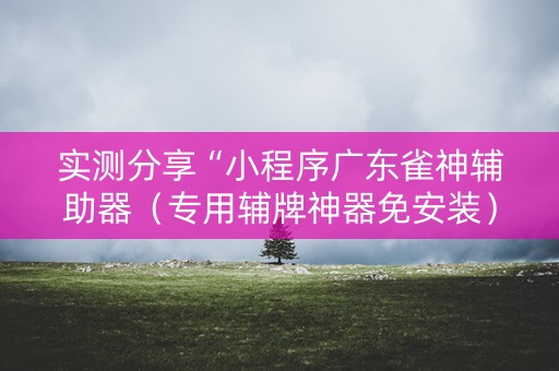 实测分享“小程序广东雀神辅助器（专用辅牌神器免安装）