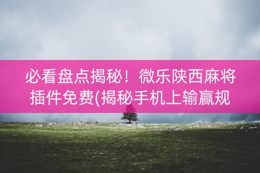 必看盘点揭秘！微乐陕西麻将插件免费(揭秘手机上输赢规律)