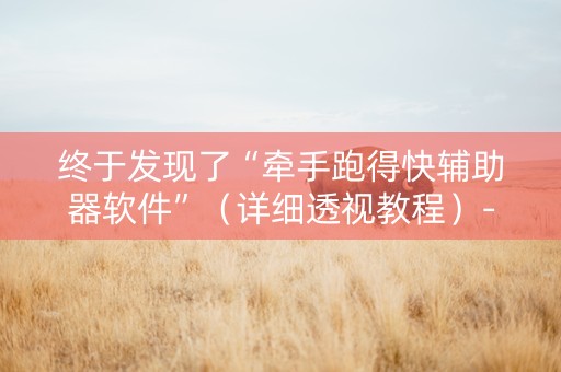 终于发现了“牵手跑得快辅助器软件”（详细透视教程）-哔哩哔哩
