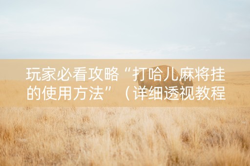 玩家必看攻略“打哈儿麻将挂的使用方法”（详细透视教程）-哔哩哔哩
